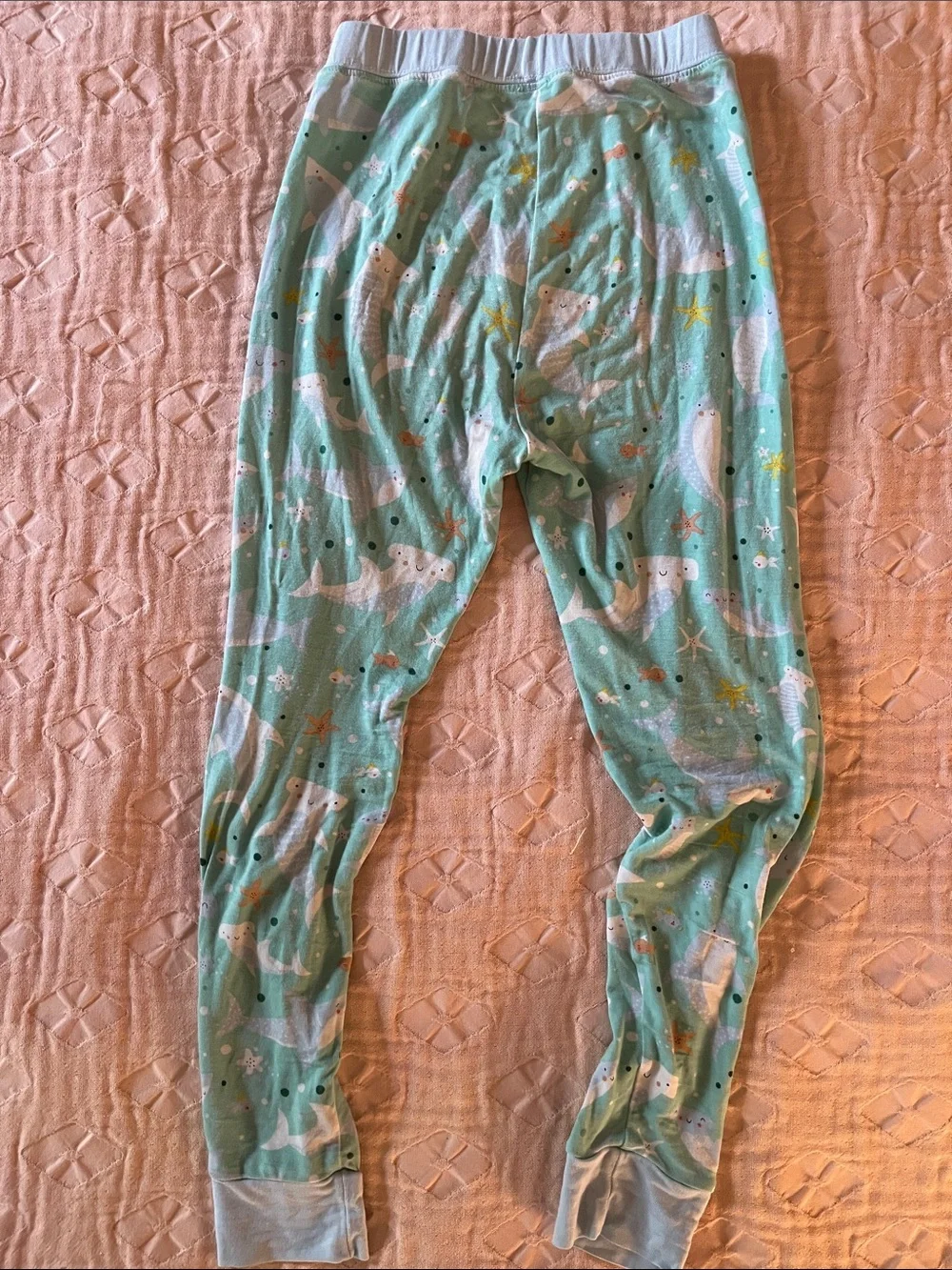 Little Sleepies shark soiree pajamas 4T